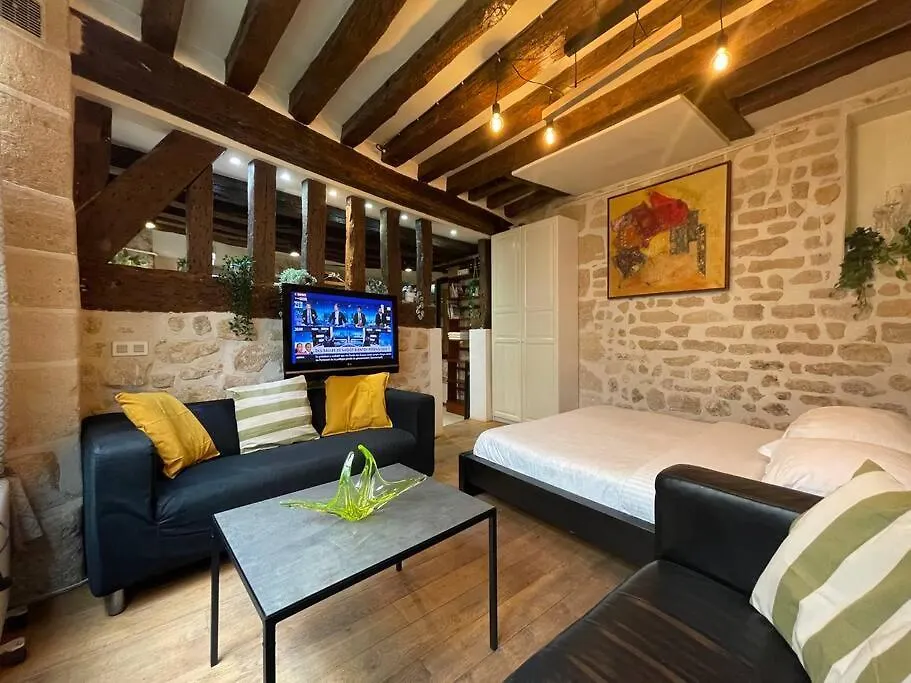 Charming Apt Rue St Andre Des Arts Paris Apartment